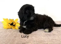 processed/dbec42db-aab6-4a78-8ae2-2f05b77270e2/listing/e29397aa-1f98-4a61-abd5-8184c6d0ffa2/7b9ed0ee-e8ad-49a6-b5d1-2fa83ee28cbe