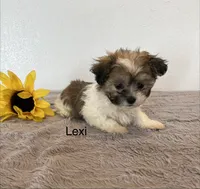 processed/dbec42db-aab6-4a78-8ae2-2f05b77270e2/listing/e9f5ae95-02f2-4590-8d1d-c5b396c59025/9cc515c9-73c5-41e0-b970-7411d8c77bc4