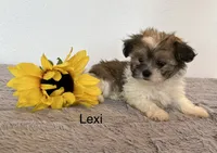 processed/dbec42db-aab6-4a78-8ae2-2f05b77270e2/listing/e9f5ae95-02f2-4590-8d1d-c5b396c59025/ff831d0d-fa85-466e-b2eb-b158f7c68bdb