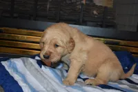 processed/dbf45c12-8cb5-4c3b-9748-22dbc0f110b0/listing/3fe7b089-6529-49b7-9afe-7d07a9db9c31/42a9ec21-7486-4427-b616-47d632646856