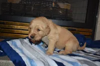 processed/dbf45c12-8cb5-4c3b-9748-22dbc0f110b0/listing/3fe7b089-6529-49b7-9afe-7d07a9db9c31/62a535af-1ddc-428e-b353-04908bc528b8