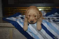 processed/dbf45c12-8cb5-4c3b-9748-22dbc0f110b0/listing/3fe7b089-6529-49b7-9afe-7d07a9db9c31/7b99dcac-81ed-4b5a-aceb-67eb56caf2c0