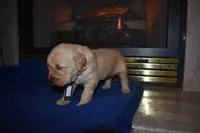 processed/dbf45c12-8cb5-4c3b-9748-22dbc0f110b0/listing/72bddb13-d941-4a65-9810-66dade5d554e/23e190f6-00ee-494f-bdbf-6269b71e3df7