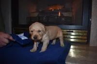 processed/dbf45c12-8cb5-4c3b-9748-22dbc0f110b0/listing/72bddb13-d941-4a65-9810-66dade5d554e/5c425539-5b7e-4f03-b9f9-03d7fbad6cb5