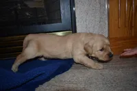 processed/dbf45c12-8cb5-4c3b-9748-22dbc0f110b0/listing/72bddb13-d941-4a65-9810-66dade5d554e/af4a82de-22eb-49c6-af61-aafd1ff80de4