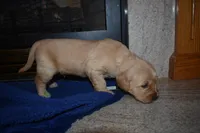 processed/dbf45c12-8cb5-4c3b-9748-22dbc0f110b0/listing/72bddb13-d941-4a65-9810-66dade5d554e/dc62a0b8-4b75-4a42-8f6f-acd8f8a86658