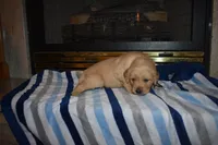 processed/dbf45c12-8cb5-4c3b-9748-22dbc0f110b0/listing/b3c89625-0608-49df-8f77-9027ed1786cb/418e0394-9847-411e-a8ba-72a7a2d7a65e