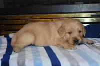 processed/dbf45c12-8cb5-4c3b-9748-22dbc0f110b0/listing/b3c89625-0608-49df-8f77-9027ed1786cb/7374b34d-53b0-4676-bc54-2edf6be4c468