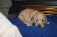 processed/dbf45c12-8cb5-4c3b-9748-22dbc0f110b0/listing/d9c05ddb-8815-41a8-b036-2abb99325db2/5580a030-f58e-41d4-98c9-57011f5034aa