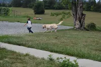 processed/dbf45c12-8cb5-4c3b-9748-22dbc0f110b0/listing/d9c05ddb-8815-41a8-b036-2abb99325db2/d4083439-3375-4ab2-b6a7-f749b6022493