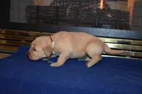 processed/dbf45c12-8cb5-4c3b-9748-22dbc0f110b0/listing/d9c05ddb-8815-41a8-b036-2abb99325db2/f54e28cf-14d9-43fe-b64b-d7497cfd91a9