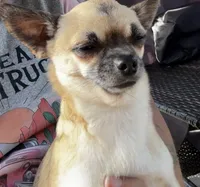 processed/dc07962a-b09c-4462-8f0c-2057fe52e45d/listing/91456359-1dc0-4e42-b21d-bbba3054eb84/57bda25f-2fcf-4ffe-8e24-86ea87efb4e5