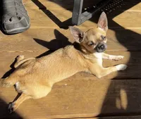 processed/dc07962a-b09c-4462-8f0c-2057fe52e45d/listing/91456359-1dc0-4e42-b21d-bbba3054eb84/fad6935b-5805-456c-aec6-664b0fc47c37