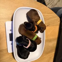 processed/dc0f4244-eb11-4316-99f9-96e83ca1cdea/facility/2a5882e7-7aa3-4288-bc63-a091c1586865