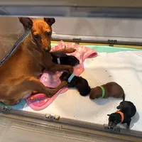 processed/dc0f4244-eb11-4316-99f9-96e83ca1cdea/facility/2c4bddbc-dc94-47f4-872d-d4f9e4ffb239