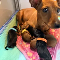 processed/dc0f4244-eb11-4316-99f9-96e83ca1cdea/facility/754e1648-6c4d-4626-8166-4f1f6e83da7d