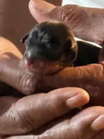 processed/dc0f4244-eb11-4316-99f9-96e83ca1cdea/facility/9e1e698c-5dff-4ea3-9ded-e11cfe570c49