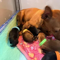 processed/dc0f4244-eb11-4316-99f9-96e83ca1cdea/facility/bab6aee3-a2a2-4b98-999a-80cd0b56a1a1