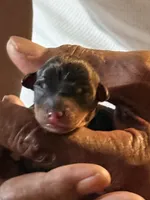 processed/dc0f4244-eb11-4316-99f9-96e83ca1cdea/facility/bd3b9937-841c-4e80-ad15-9df13cb99ed2