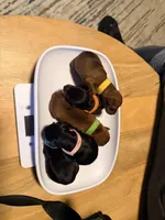 Dream, a male Miniature Pinscher for sale in Villa Rica, GA – Photo 5 of 5