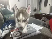 processed/dc2525d3-14f5-40c5-8fa1-5aace1ddef80/listing/7349d59c-f847-418a-b409-5d934b510611/0d2cad4b-181e-4453-a6e7-a1ab2605aba4