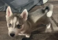 processed/dc2525d3-14f5-40c5-8fa1-5aace1ddef80/listing/7349d59c-f847-418a-b409-5d934b510611/1dc2fa91-99ce-4d81-b8c8-8677b71d8c6d