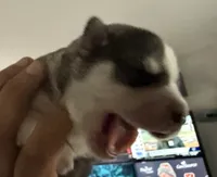 processed/dc2525d3-14f5-40c5-8fa1-5aace1ddef80/listing/7349d59c-f847-418a-b409-5d934b510611/91e8d557-1bdf-46f5-bf12-182002915c85