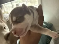 processed/dc2525d3-14f5-40c5-8fa1-5aace1ddef80/listing/7614ba35-2ff4-4da3-911b-72a240b690c7/1fdd1eb7-d04c-4605-bd9d-0e38733dc047