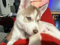 processed/dc2525d3-14f5-40c5-8fa1-5aace1ddef80/listing/7614ba35-2ff4-4da3-911b-72a240b690c7/24469c97-696c-4d6e-8242-2ddf616799cc