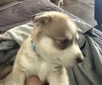 processed/dc2525d3-14f5-40c5-8fa1-5aace1ddef80/listing/7614ba35-2ff4-4da3-911b-72a240b690c7/7b73869e-8b8b-4e94-91fd-0a223c933d2d