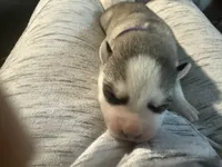 processed/dc2525d3-14f5-40c5-8fa1-5aace1ddef80/listing/8eca5879-bcdc-41a2-ba83-311644f92223/0a434503-9dcb-43cc-950c-bae1bf7b95a9