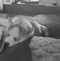 processed/dc2525d3-14f5-40c5-8fa1-5aace1ddef80/listing/8eca5879-bcdc-41a2-ba83-311644f92223/16b3f218-8673-4052-a8b3-323e5fe8b4b2