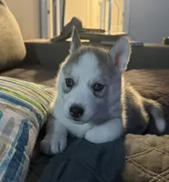 processed/dc2525d3-14f5-40c5-8fa1-5aace1ddef80/listing/8eca5879-bcdc-41a2-ba83-311644f92223/4d86f603-3738-45e0-9b20-c02a0ec67fbe