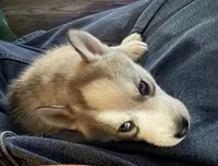 processed/dc2525d3-14f5-40c5-8fa1-5aace1ddef80/listing/8eca5879-bcdc-41a2-ba83-311644f92223/d56d65df-c991-4036-a1b5-3b0b9673b38e