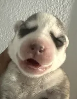 processed/dc2525d3-14f5-40c5-8fa1-5aace1ddef80/listing/8eca5879-bcdc-41a2-ba83-311644f92223/e1ac057f-7859-4745-81a2-9a7b796e1ecb