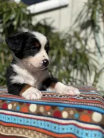 processed/dc27aee4-a8d3-4a33-954e-a5b6f819da35/listing/088003d1-0709-41dd-922c-9f9e748773bc/29921ad7-ad4b-4e6e-9ae1-c8632871ebff