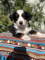 processed/dc27aee4-a8d3-4a33-954e-a5b6f819da35/listing/088003d1-0709-41dd-922c-9f9e748773bc/3957b1db-2247-4afd-9433-fe70f12fb6fc