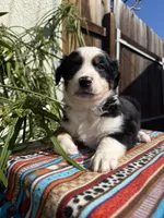 processed/dc27aee4-a8d3-4a33-954e-a5b6f819da35/listing/088003d1-0709-41dd-922c-9f9e748773bc/a27d0d3f-99dc-4f39-9055-308bcbac939c