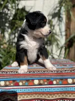 processed/dc27aee4-a8d3-4a33-954e-a5b6f819da35/listing/088003d1-0709-41dd-922c-9f9e748773bc/a6ab771f-d45e-456f-9034-b88a58f83058