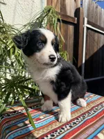 processed/dc27aee4-a8d3-4a33-954e-a5b6f819da35/listing/088003d1-0709-41dd-922c-9f9e748773bc/edd85183-a8ab-4567-bd66-ee57ad879785