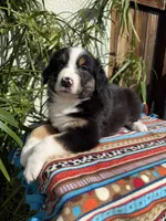 processed/dc27aee4-a8d3-4a33-954e-a5b6f819da35/listing/0c4a53be-d02b-487a-9111-89dd26d2dcd2/1ce4ec25-4fb0-4c22-8bbd-37e71e2a24bc