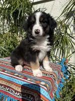 processed/dc27aee4-a8d3-4a33-954e-a5b6f819da35/listing/0c4a53be-d02b-487a-9111-89dd26d2dcd2/24f26771-7945-4589-8950-122b23b1cacc