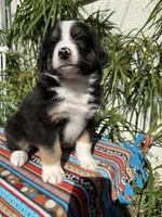 processed/dc27aee4-a8d3-4a33-954e-a5b6f819da35/listing/0c4a53be-d02b-487a-9111-89dd26d2dcd2/53ee4369-a349-41e5-95d5-c0cd8aa5c5ab