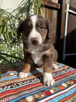 processed/dc27aee4-a8d3-4a33-954e-a5b6f819da35/listing/18d8099b-945e-47ba-a74c-9b851036e122/1668e6ee-f4b4-4163-83bd-58f101f47aad