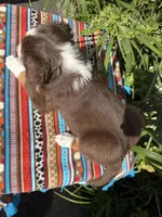 processed/dc27aee4-a8d3-4a33-954e-a5b6f819da35/listing/18d8099b-945e-47ba-a74c-9b851036e122/2d4b8574-3db5-4d68-a811-8b21d009dbc5