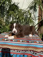 processed/dc27aee4-a8d3-4a33-954e-a5b6f819da35/listing/18d8099b-945e-47ba-a74c-9b851036e122/43c1e556-727d-46c8-8e05-1bb67f82e6b8