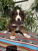 processed/dc27aee4-a8d3-4a33-954e-a5b6f819da35/listing/18d8099b-945e-47ba-a74c-9b851036e122/727d6ba3-ed1d-4a4d-9493-8e1a10131d59