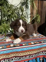 processed/dc27aee4-a8d3-4a33-954e-a5b6f819da35/listing/18d8099b-945e-47ba-a74c-9b851036e122/88edd594-b13c-4678-833a-eae37ebd38d2