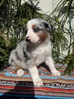 processed/dc27aee4-a8d3-4a33-954e-a5b6f819da35/listing/4d92ca46-b335-4d1c-aa7c-1dd58c0c7a88/61b34222-9200-42df-b44b-e318ac7a57fa