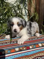 processed/dc27aee4-a8d3-4a33-954e-a5b6f819da35/listing/4d92ca46-b335-4d1c-aa7c-1dd58c0c7a88/6f5206f2-69bc-4689-9dad-e41bc80dbffa